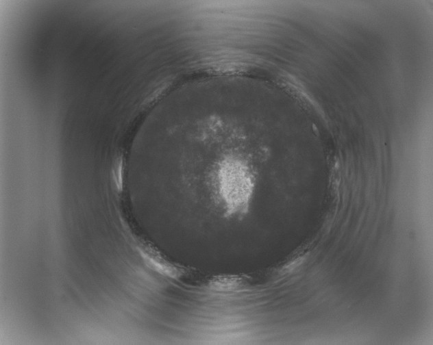 X0000072530076200607290235