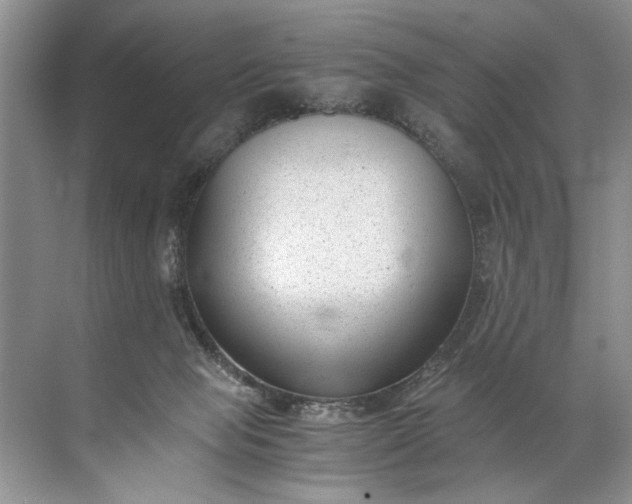 X0000072530077200607290235