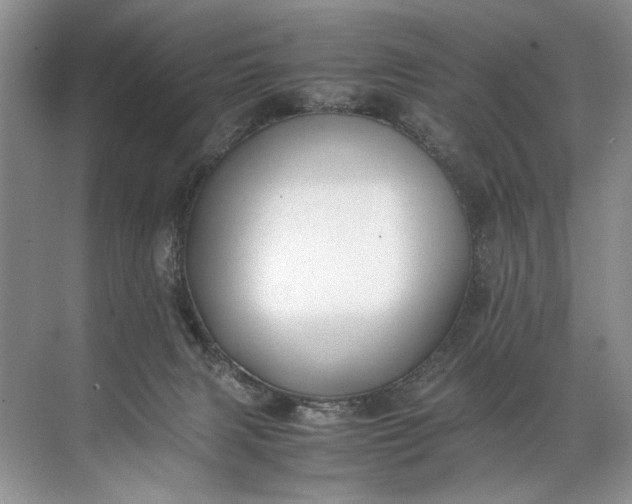 X0000072530079200607290235