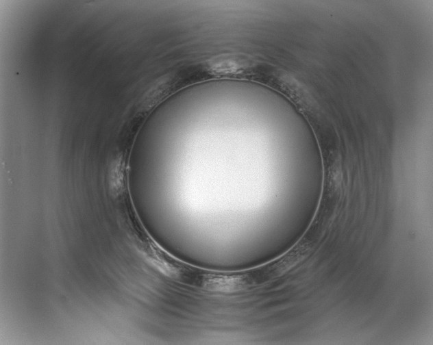 X0000072530081200607290235