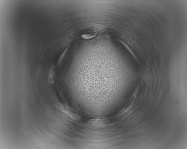 X0000072530082200607290235