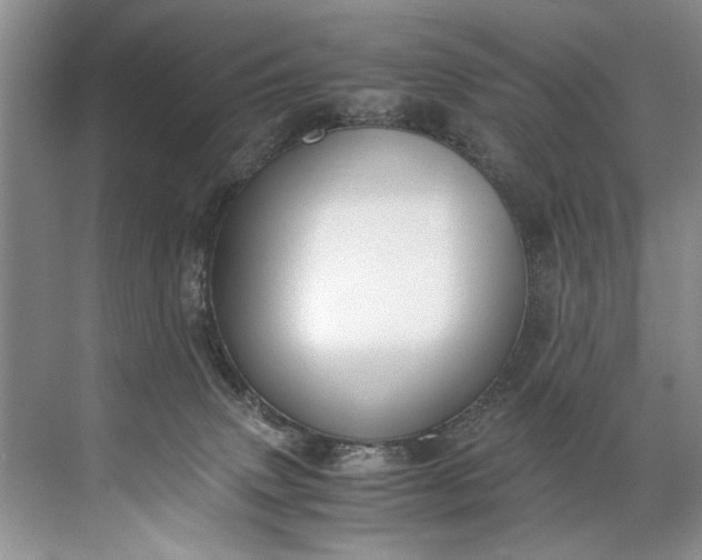 X0000072530083200607290235