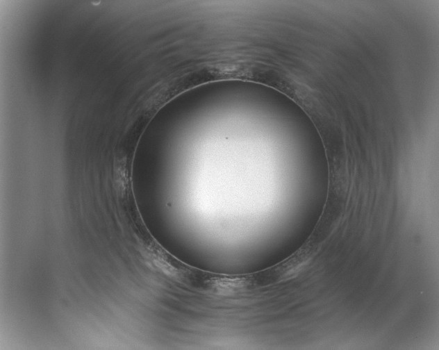 X0000072530085200607290235