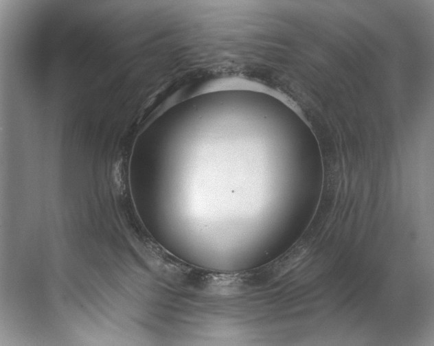 X0000072530088200607290235