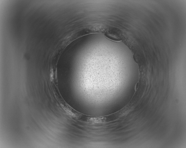 X0000072530089200607290235