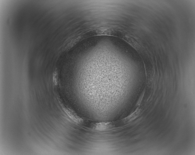 X0000072530090200607290235