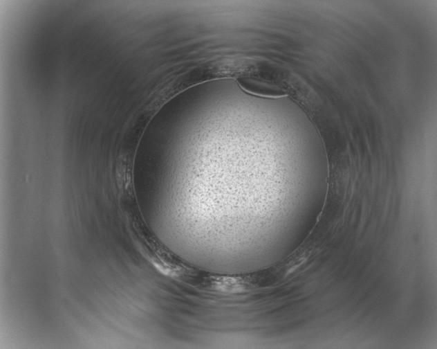 X0000072530091200607290235