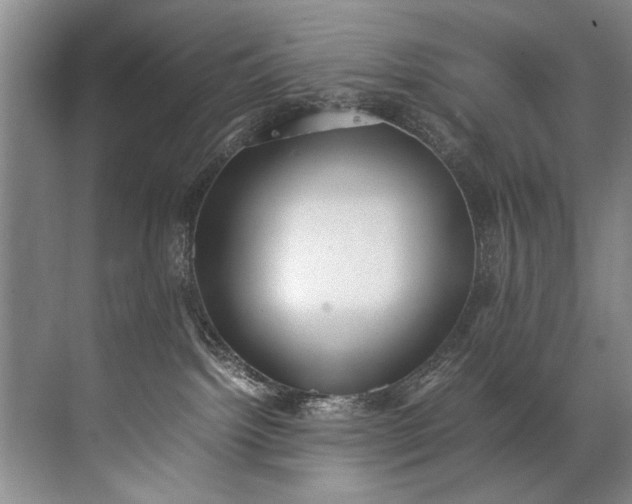 X0000072530092200607290235