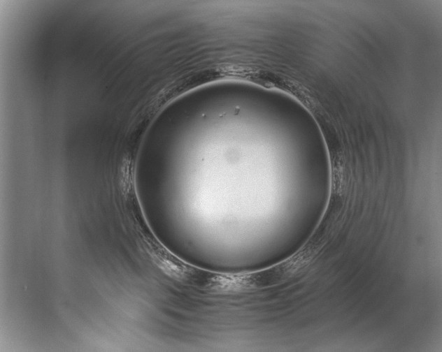 X0000072530093200607290235