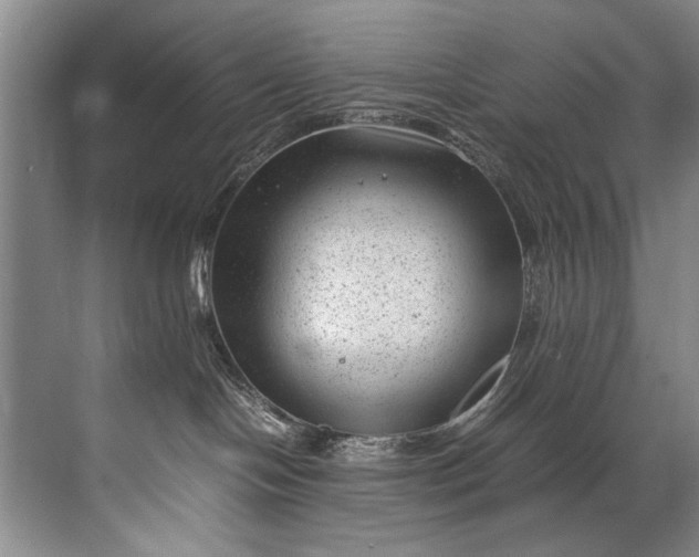 X0000072530094200607290235