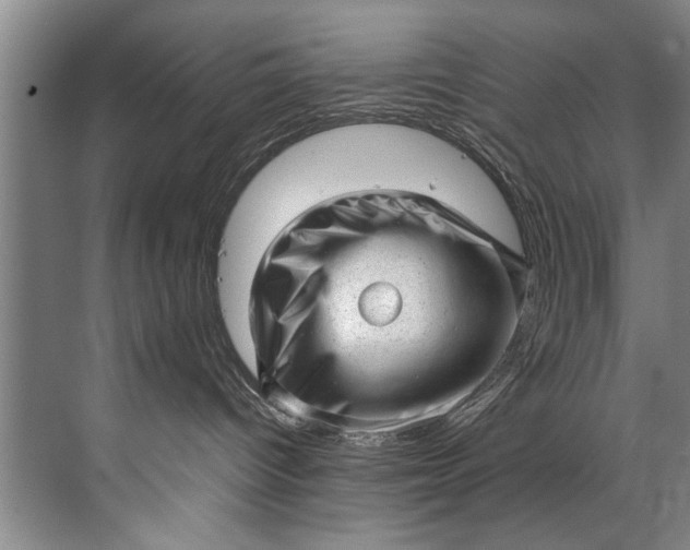 X0000072530096200607290235