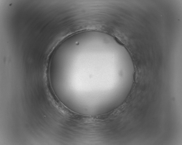 X0000072530098200607290235