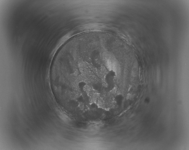 X0000072530099200607290235