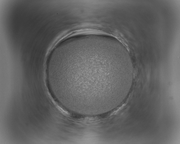 X0000072530101200607290235