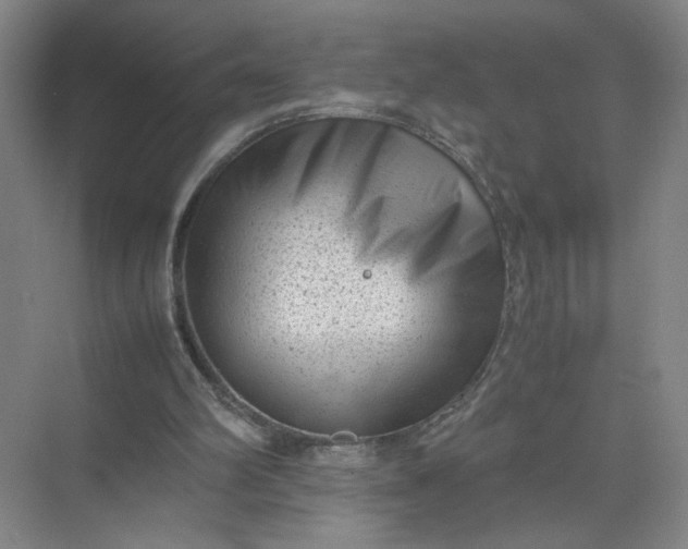 X0000072530102200607290234