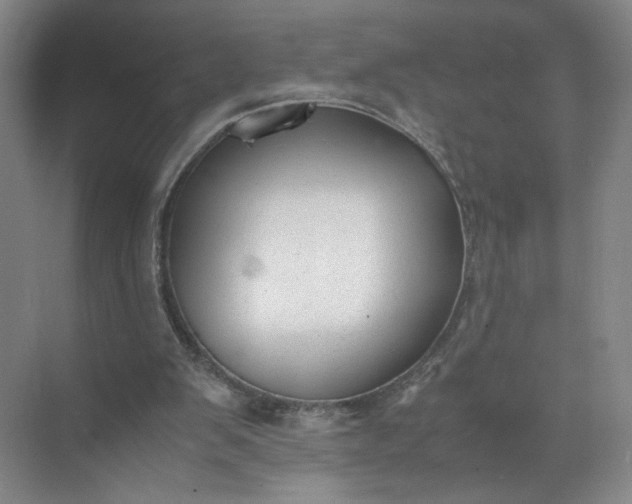 X0000072530103200607290234