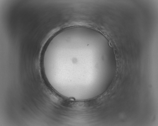 X0000072530104200607290234