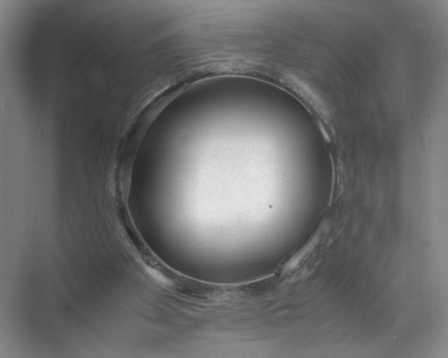 X0000072530105200607290234