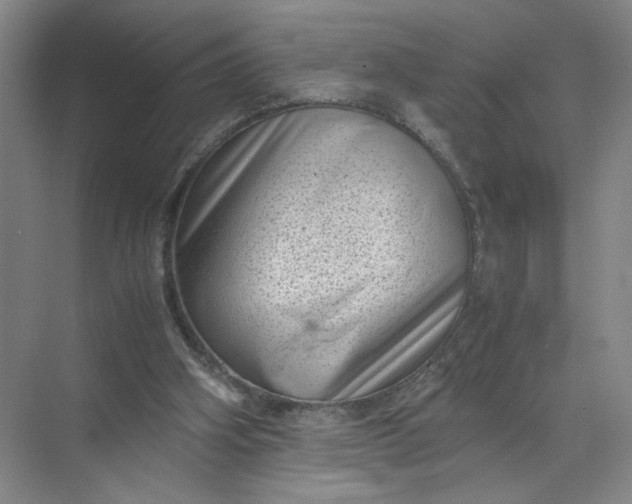 X0000072530106200607290234