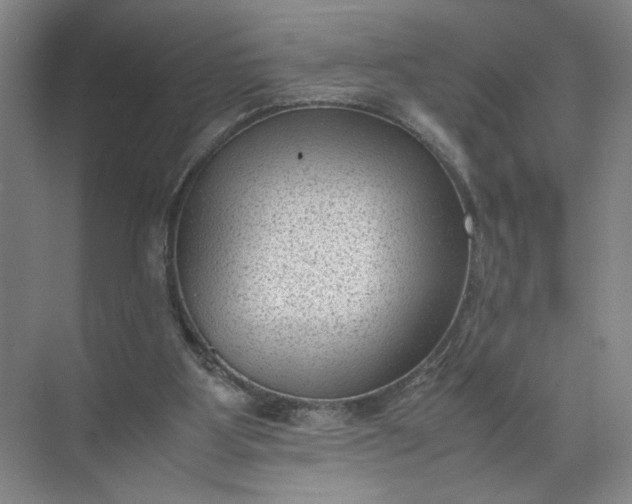 X0000072530107200607290234