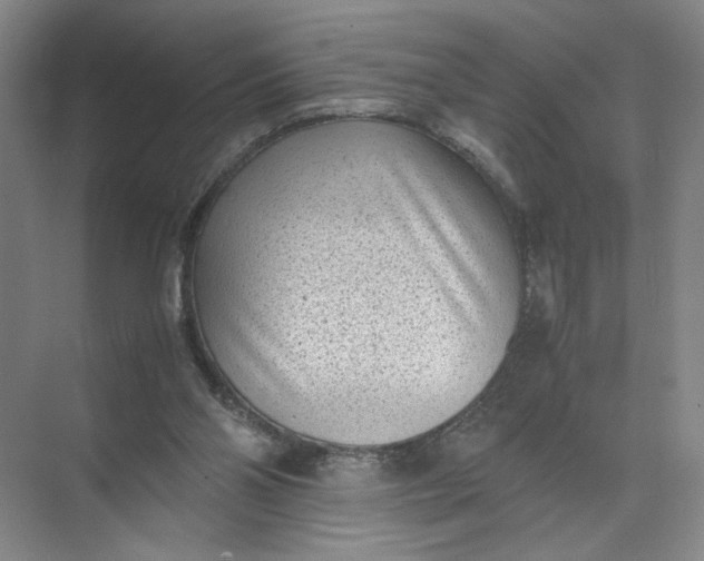 X0000072530110200607290234