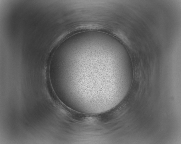 X0000072530111200607290234