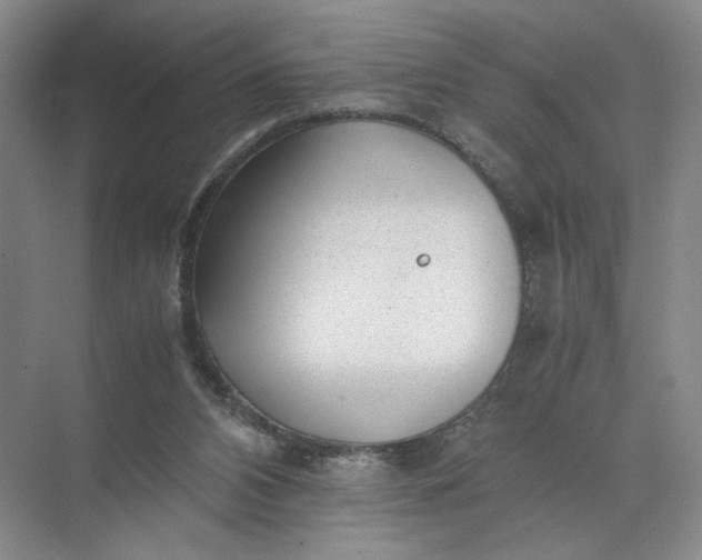 X0000072530112200607290234