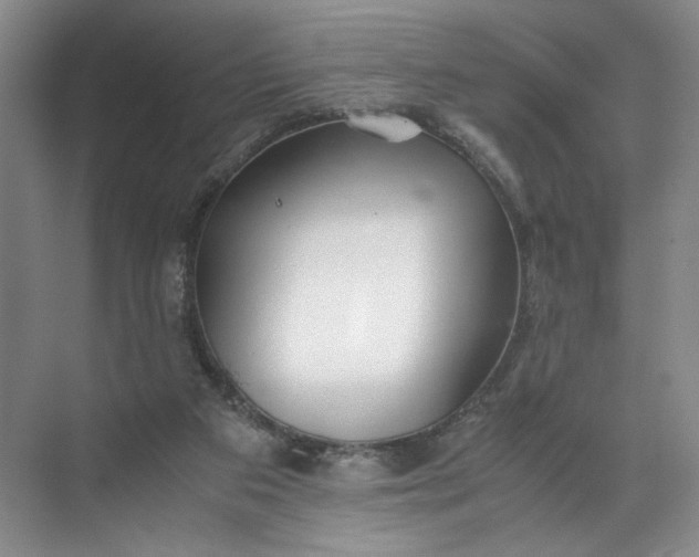 X0000072530113200607290234