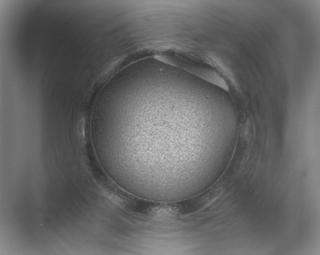 X0000072530115200607290234