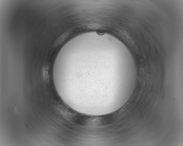 X0000072530116200607290234