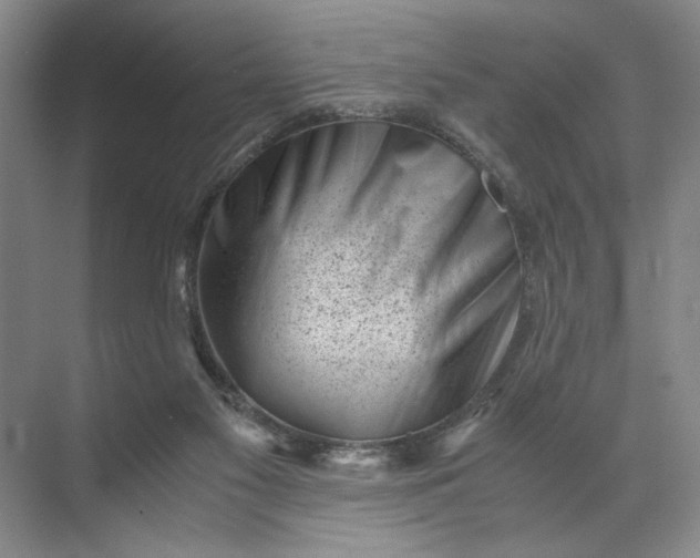 X0000072530117200607290234