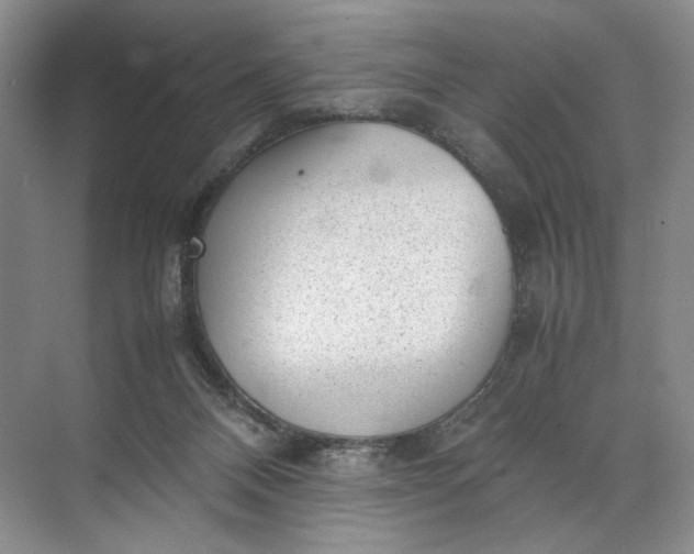 X0000072530120200607290234