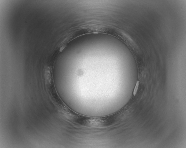 X0000072530121200607290234