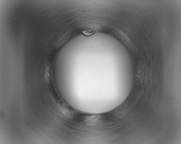 X0000072530122200607290234