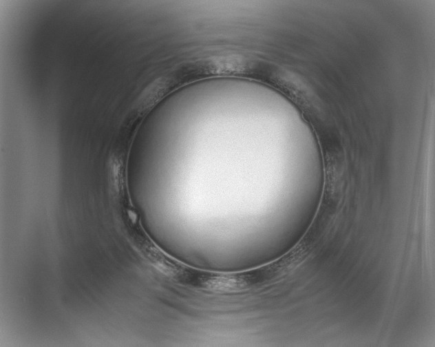 X0000072530123200607290234