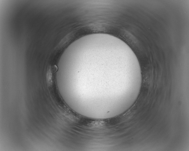 X0000072530124200607290234