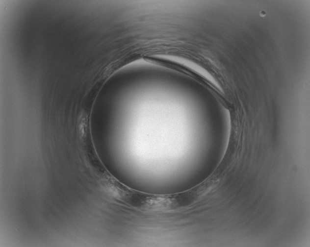 X0000072530125200607290234