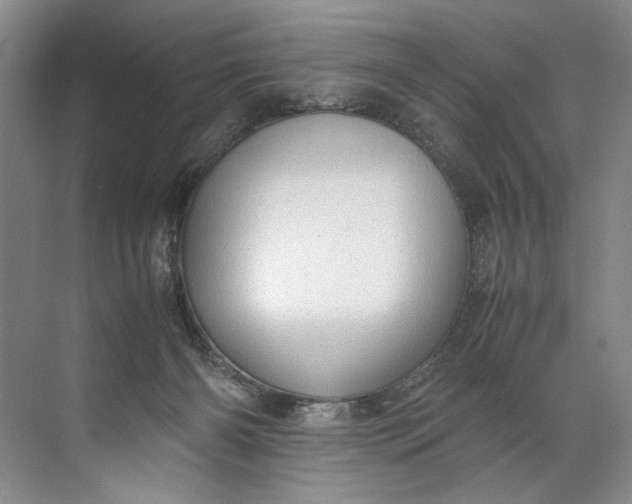 X0000072530126200607290234