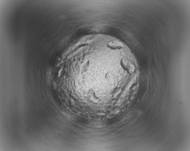 X0000072530127200607290234