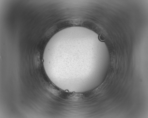 X0000072530128200607290234