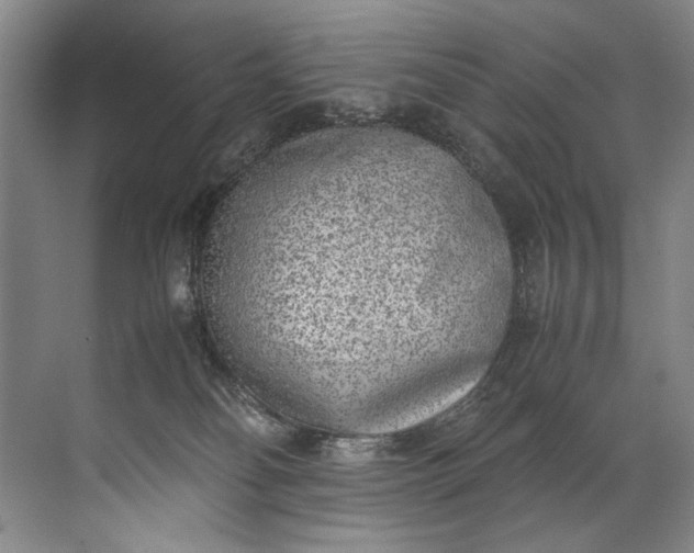 X0000072530134200607290234