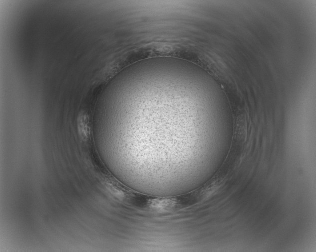 X0000072530135200607290234