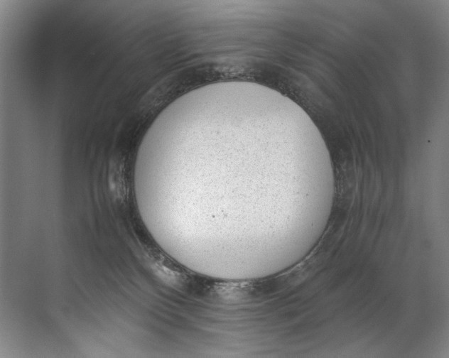 X0000072530136200607290234