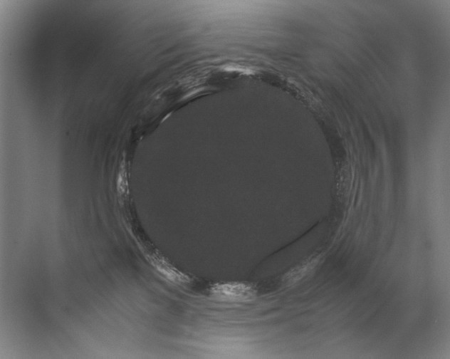 X0000072530137200607290234