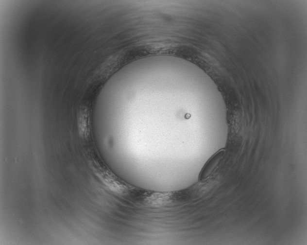 X0000072530138200607290234