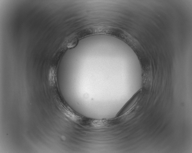 X0000072530142200607290234