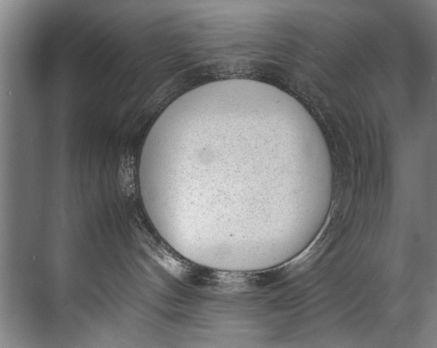 X0000072530144200607290234