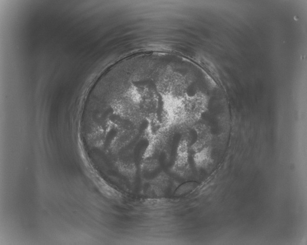 X0000072530145200607290233