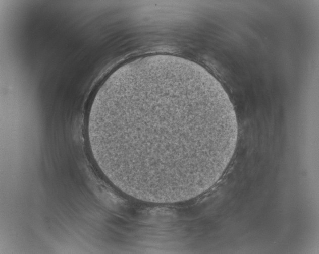 X0000072530146200607290233