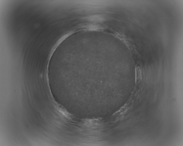 X0000072530147200607290233